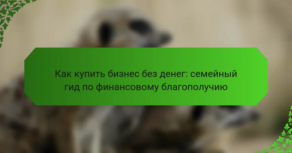 Как купить бизнес без денег: семейный гид по финансовому благополучию