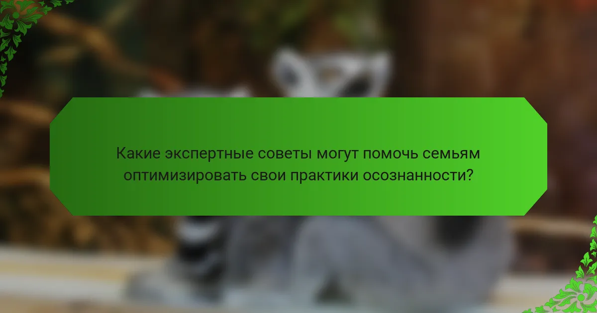 Какие экспертные советы могут помочь семьям оптимизировать свои практики осознанности?
