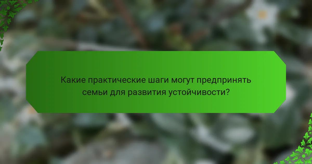 Какие практические шаги могут предпринять семьи для развития устойчивости?