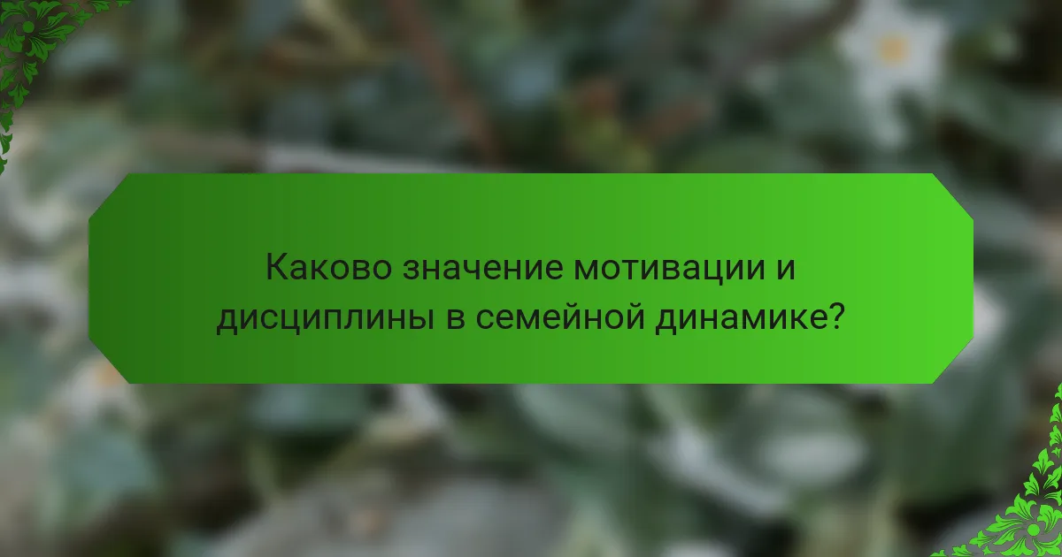 Каково значение мотивации и дисциплины в семейной динамике?