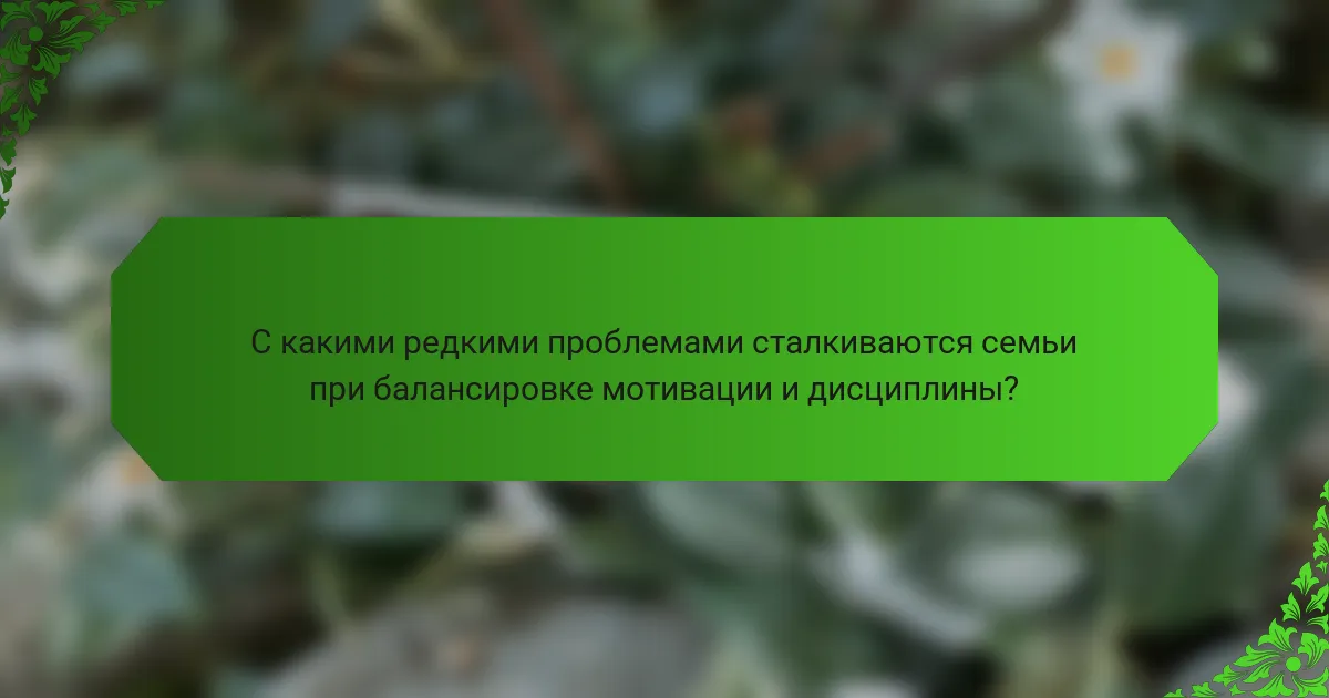 С какими редкими проблемами сталкиваются семьи при балансировке мотивации и дисциплины?
